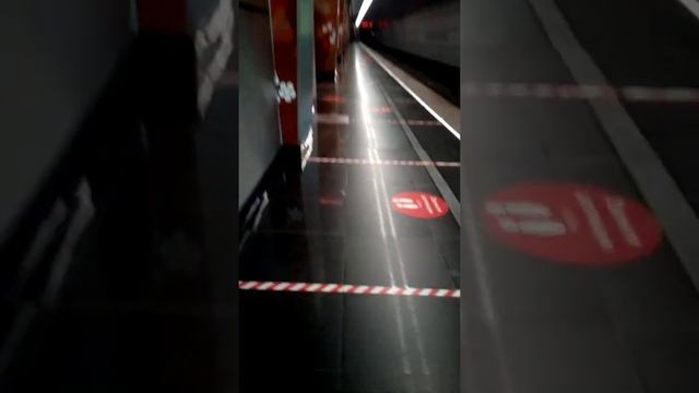 Обзор станции метро Мичуринский проспект, Солнцевская линия смотреть онлайн