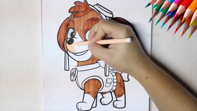 Coloring SKYE Drawing from PAW PATROL - Fun Sketch with BOOM TOONS смотреть онлайн