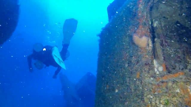 Zenobia, part 2 смотреть онлайн