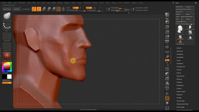 Zbrush 2019 Модель МЕДИК ч1 ГОЛОВА смотреть онлайн
