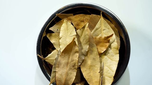 Discover the REAL FORGOTTEN USES of BAYLEAF. Must Watch | Yeyeo Botanica смотреть онлайн