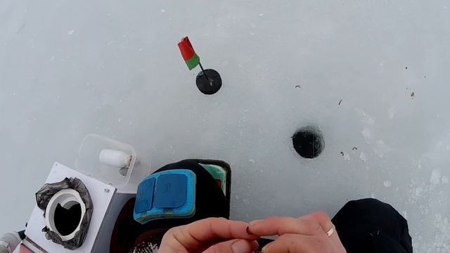 Спортивная рыбалка/Лёд 2022-2023/Тест прикормки от feeder.by смотреть онлайн