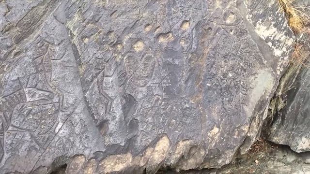 Семинар по наскальной живописи смотреть онлайн