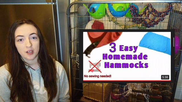 How to convince parents to get rats - Ratdubly смотреть онлайн