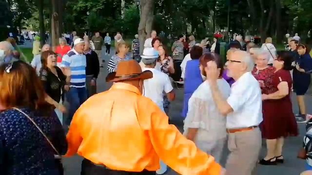 Золотая лестница Сад Шевченко Харьков смотреть онлайн