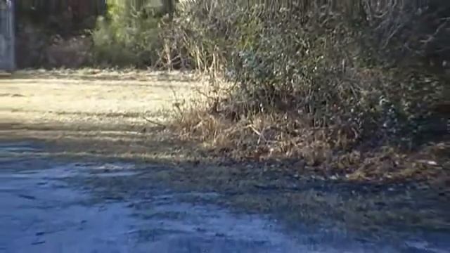 Git-N-Down Kennels 3/21/10 смотреть онлайн