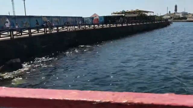 VLOG Дельфинарий. Анапа. Большой Утриш VLOG Dolphinarium. I am 8 years old смотреть онлайн