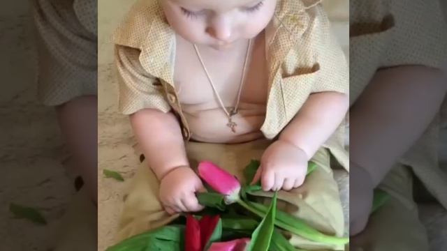 10 03 20 Максик и тюльпаны смотреть онлайн