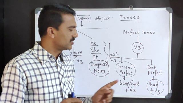 Present and Past Perfect Tense - Explained - Trick for using HAVE/HAS in Present Perfect Tense смотреть онлайн