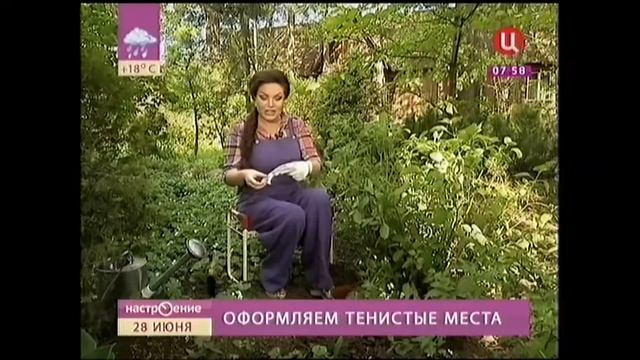 ОФОРМЛЯЕМ ТЕНИСТЫЕ МЕСТА В САДУ! смотреть онлайн