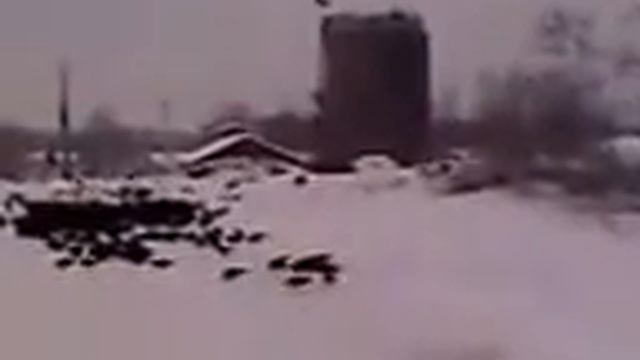 Стая ворон смотреть онлайн