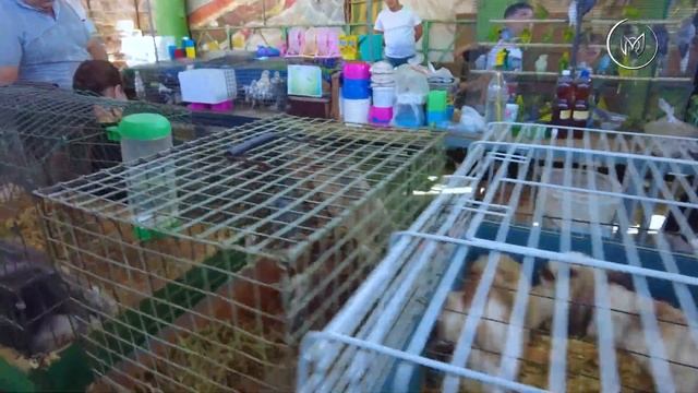 Uzbekistan Tashkent Flea Market Yangiabad / Узбекистан Ташкент Барахолка Янгиабад