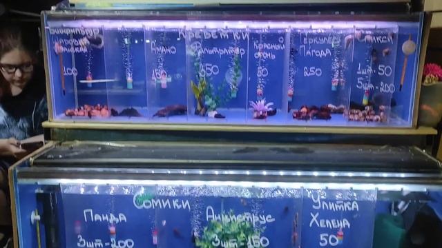 Прогулка по птичке Садовод Белая дача 5.08.2023 г. смотреть онлайн