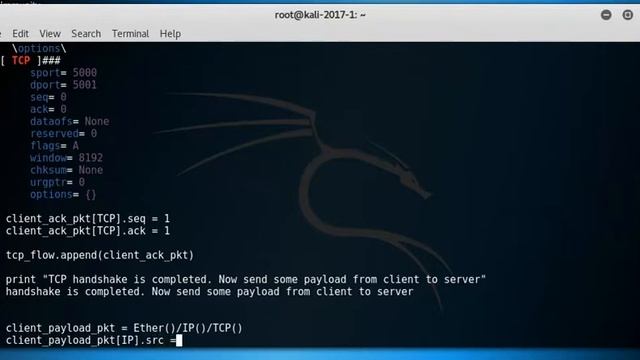 Create complete tcp flow of packets using scapy - part3 смотреть онлайн