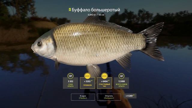 RF4 НАШЛИ МНОГО РАЗНОГО СЕКРЕТНОЕ МЕСТО ОТ ПОДПИСОНОВ #рр4 смотреть онлайн