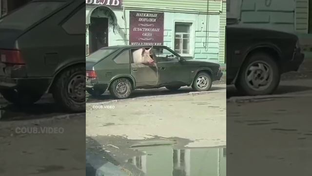 домашний питомец смотреть онлайн