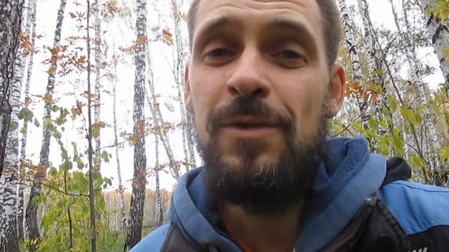 ДЕВУШКА И ЛЕСОВИК. Стихотворение Эдуарда Асадова смотреть онлайн