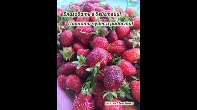 ОСТАВТЕ ВСЁ СТАРОЕ О СЕБЕ. 20.11.2021.Церковь В Реке Жизни Ст.пастор Людмила Мастерова смотреть онлайн