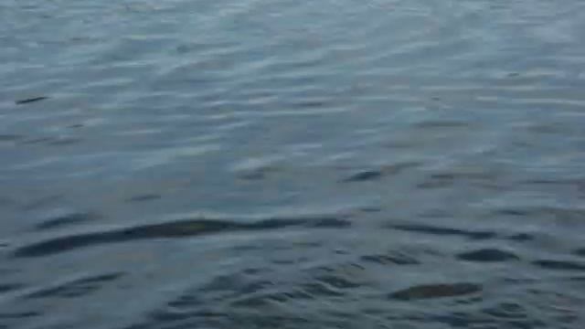 Уводьское водохранилище (Уводьстрой) г.Иваново покатухи на водных мотоциклах смотреть онлайн