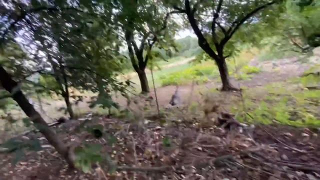 НУ ЕГО ЭТО СЕЛО В БАНЮ! смотреть онлайн