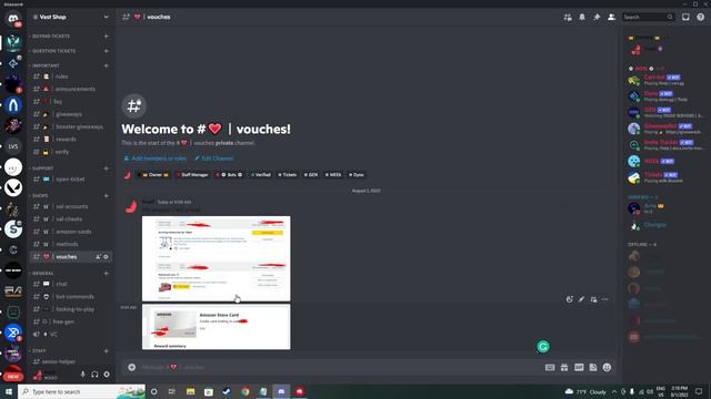 Free Valorant Accounts Generator with Skins and MORE | Discord Server смотреть онлайн