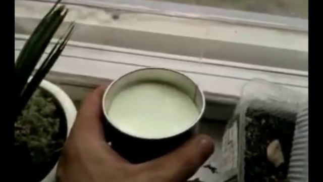 Восторг от светящейся краски Невидаль - nevidal.com смотреть онлайн