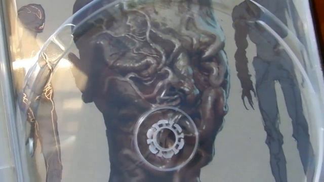 The Callisto Protocol Collectors Edition Unboxig