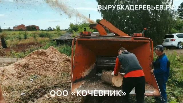 ЧЕМ Я ЗАНИМАЮСЬ?