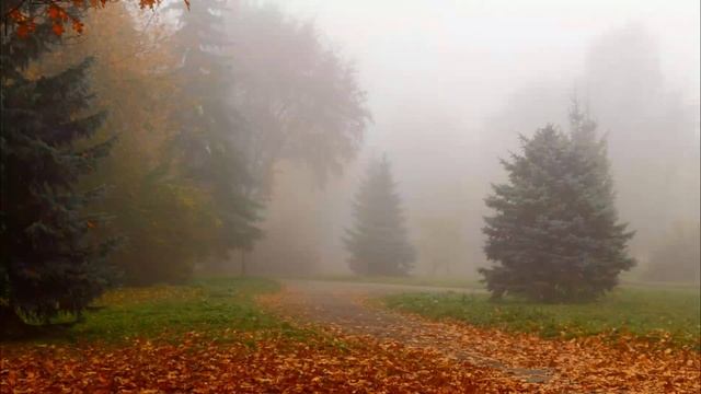 Лучшие романсы. Утро туманное. Поёт Валентина Пономарёва смотреть онлайн