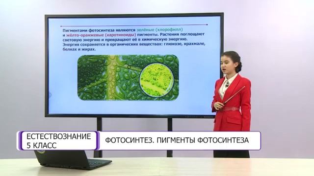 Естествознание. 5 класс. Фотосинтез. Пигменты фотосинтеза /09.02.2021/ смотреть онлайн
