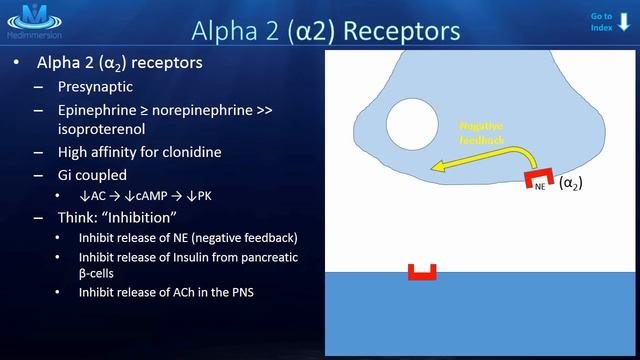 The Adrenergic Receptors смотреть онлайн