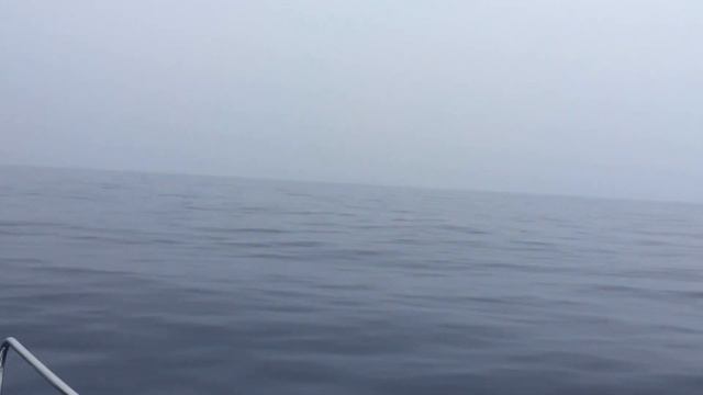 Солярис. смотреть онлайн