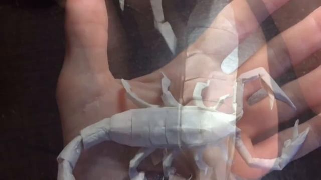 Origami Scorpion - Brian Chan - Collapse, shaping and painting смотреть онлайн
