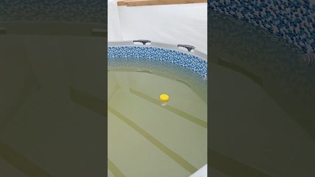 Купол для бассейна #бассейн#