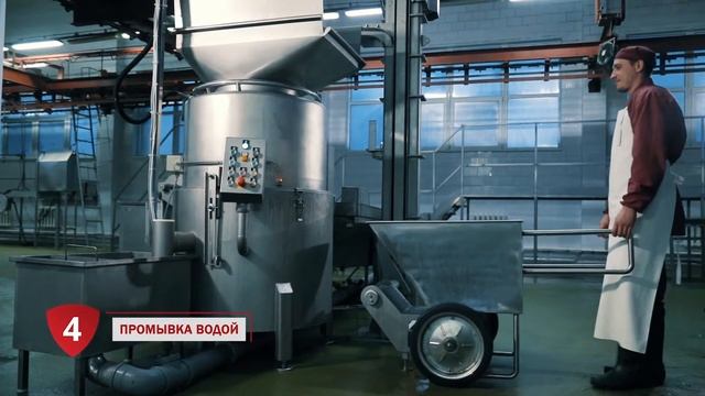 Машина обработки мякотных субпродуктов FELETI LF M смотреть онлайн