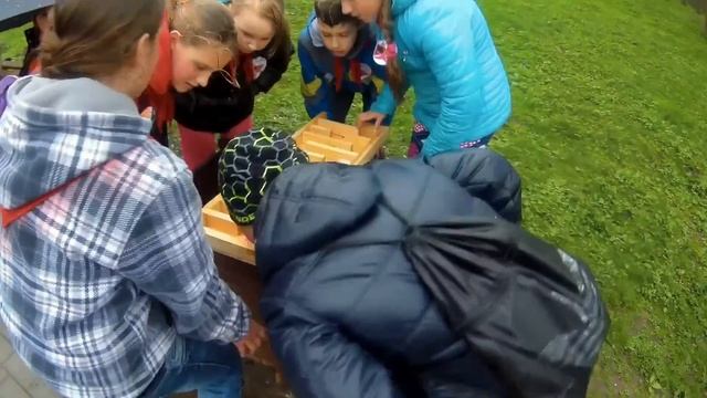 Большая Георгиевская Игра | Зеленоградск смотреть онлайн