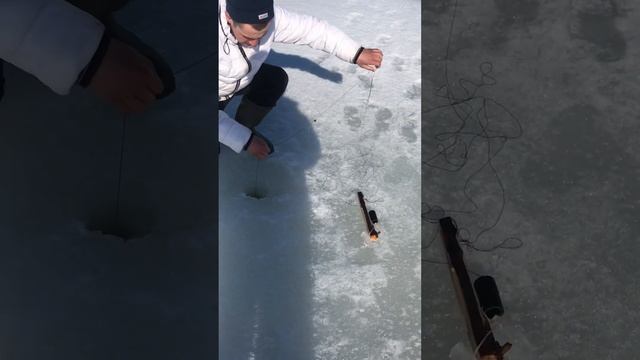 ОГРОМНАЯ ЩУКА #счастье #путешествия #карелия #окунь #природа #озеро смотреть онлайн