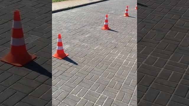 Слалом Льва на велосипеде через фишки смотреть онлайн