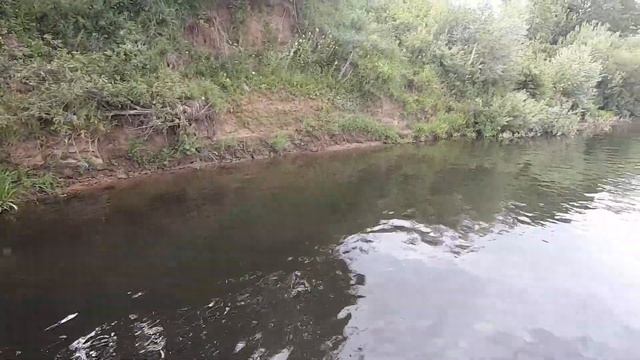 Зачем подвоху САБ доска смотреть онлайн