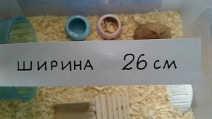 Все о клетке для джунгарского хомяка