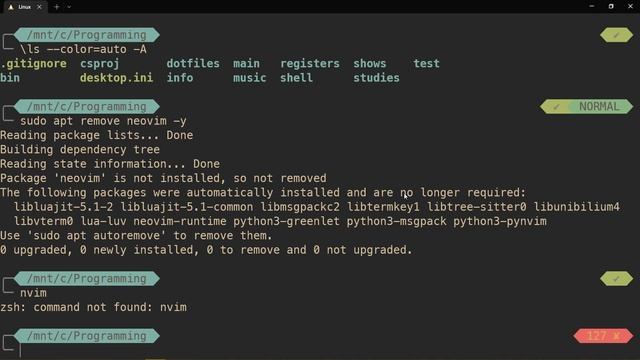How to install Neovim 0.8 on WSL (Ubuntu) — Neovim & VsCode смотреть онлайн