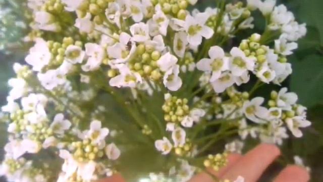 фотографии природы смотреть онлайн