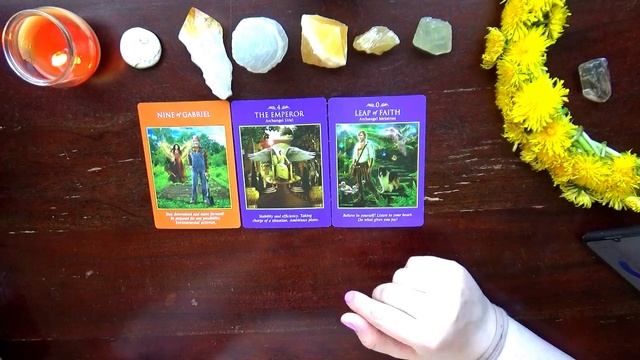 This message was meant to find you! ? PICK A CARD ? смотреть онлайн