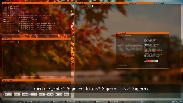 herbstluftwm tint2 pywal rofi picom on void linux - just playing arround -- no audio смотреть онлайн