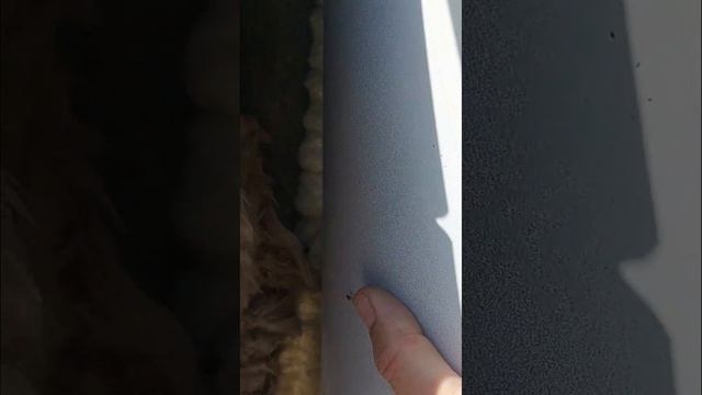 Приемка дома перед покупкой смотреть онлайн