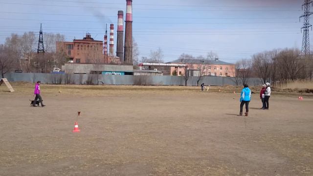 Стаффбуль, первый опыт сдачи BH, Судья Регина Курмашова 👍 смотреть онлайн