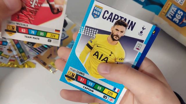 ADRENALYN XL PANINI FIFA 365 CARDS PACK 28 UNBOXING -ΠΑΚΕΤΟ 28 ΚΑΡΤΩΝ смотреть онлайн