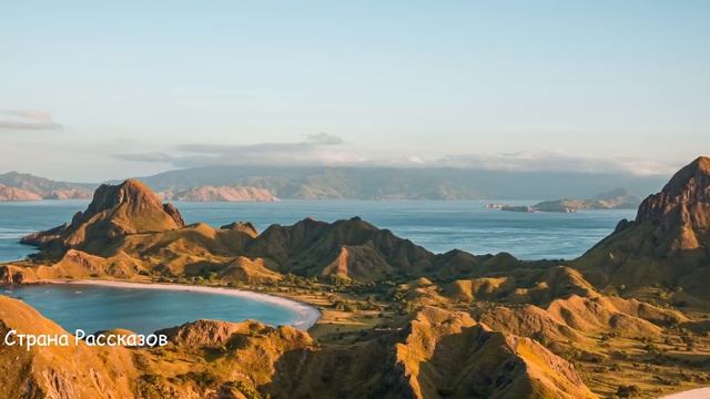 После свадьбы муж взялся приучать жену к порядку и загонять как лошадь, но... смотреть онлайн