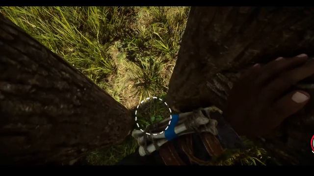 Sons Of The Forest, with The D from the Stay Stabby crew: 100 Games, 100 Days. Day 69 смотреть онлайн