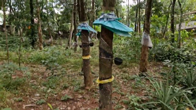 Samsung Galaxy S23 FE Unboxing & First Impression With Camera Test, REAL Flagship For FAN'S ??❤️❤️?